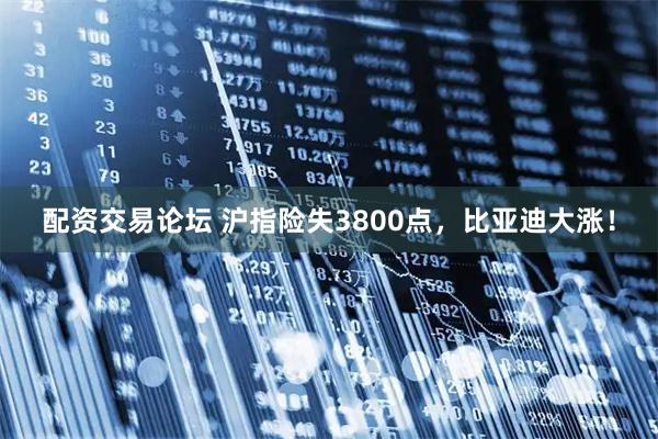 配资交易论坛 沪指险失3800点，比亚迪大涨！